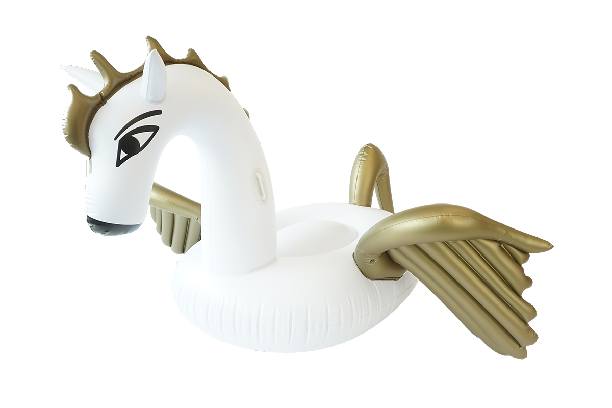 The Pegasus