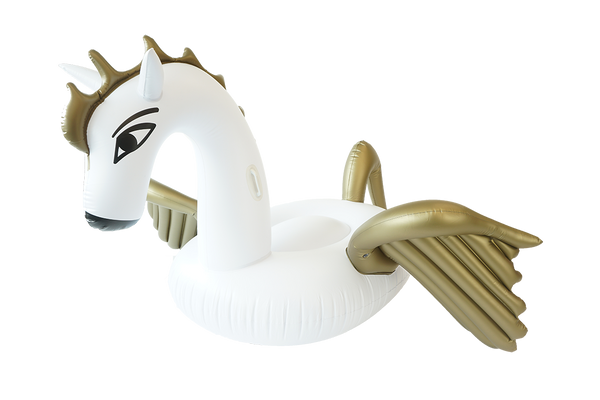 Pegasus floaty 2024