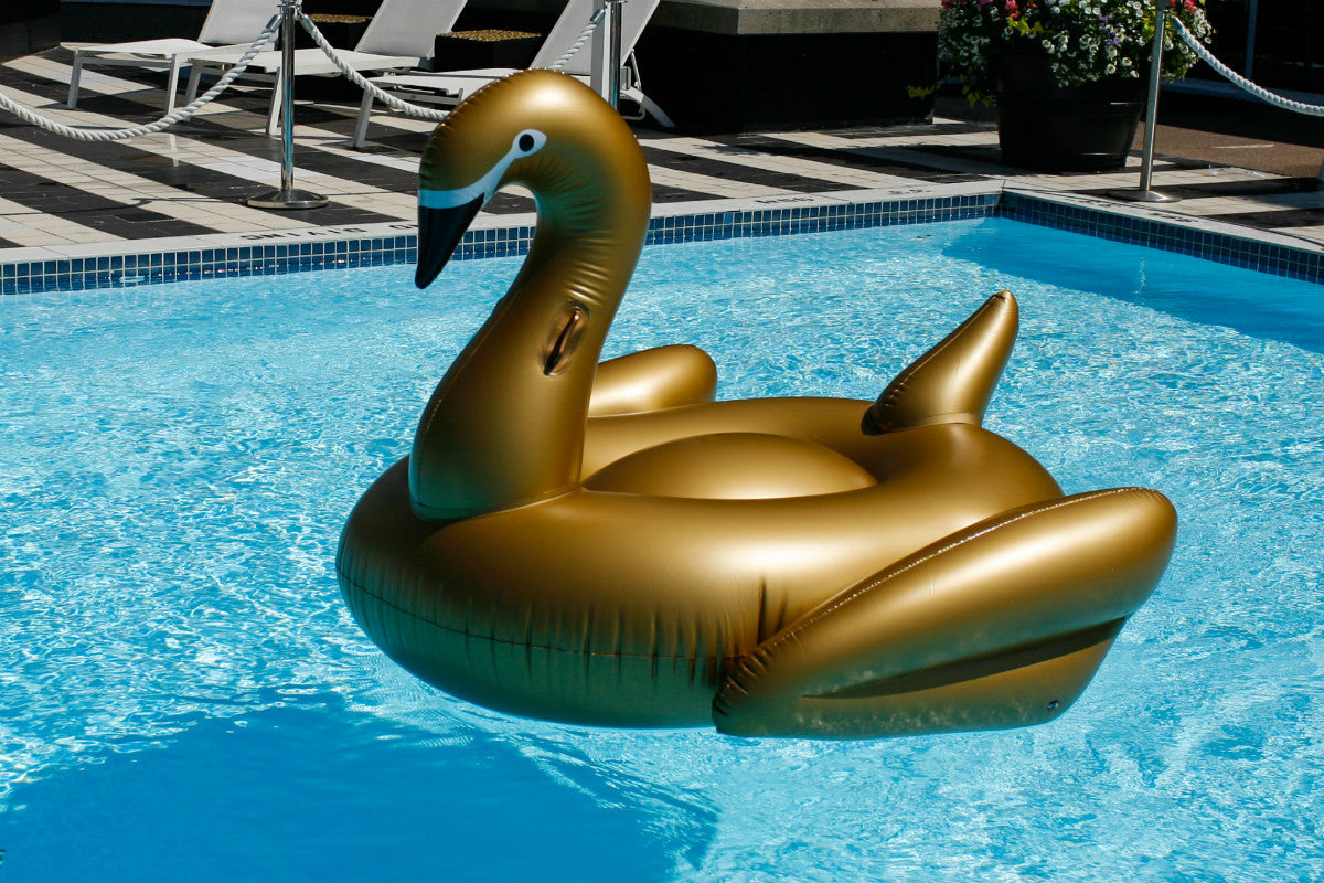 Gold Swan Giant Premium Pool Float